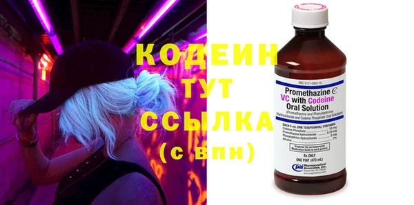 гидра Пересвет