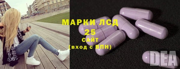 гидра Пересвет