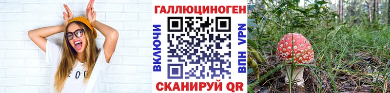 MEGA зеркало  купить наркотики цена  Альметьевск  Псилоцибиновые грибы Psilocybine cubensis 