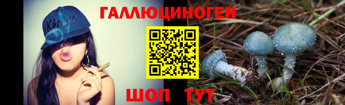 Псилоцибиновые грибы Cubensis Альметьевск